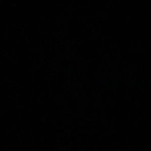 Meet your Posher, Ivy